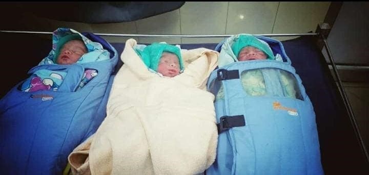 1 babies.jpeg