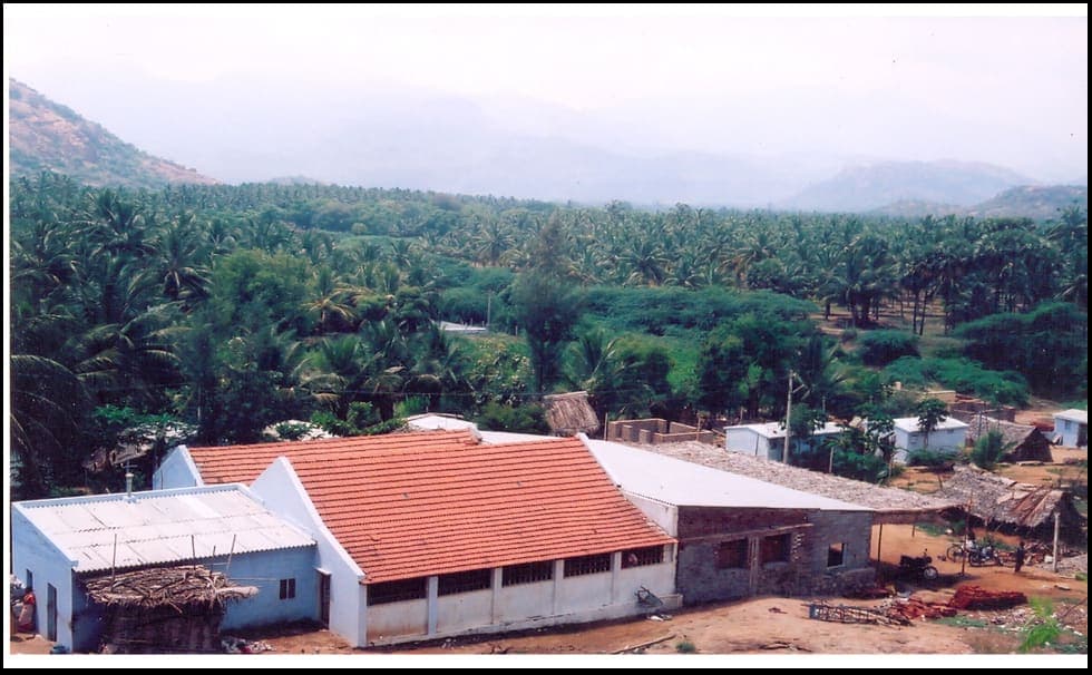 image-1.jpg